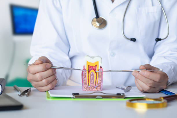 Best Emergency Root Canal Therapy in Notre Dame, IN